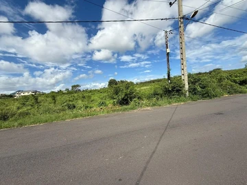 Commercial Land