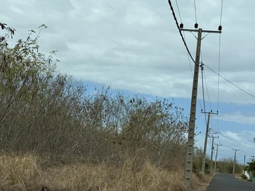 Commercial Land