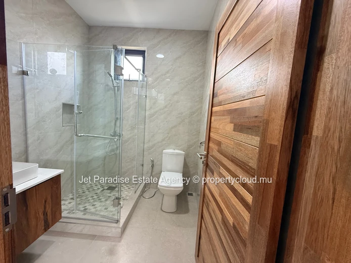 Newly built 4 bedrooms house with private swimming pool and Garden