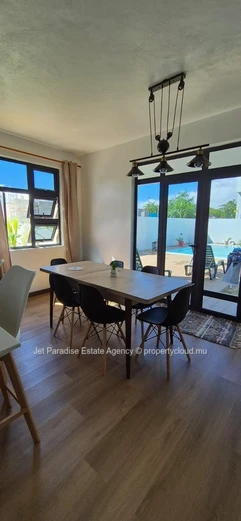 Pet friendly house with swimming pool and garden