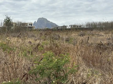 Commercial Land