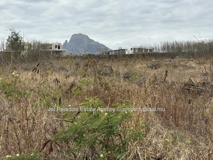 "Prime Residential Land in Flic en Flac with Stunning Mountain Views - Perfect for Development! Only Rs 231M"