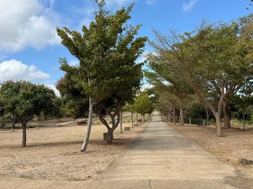 Residential Land