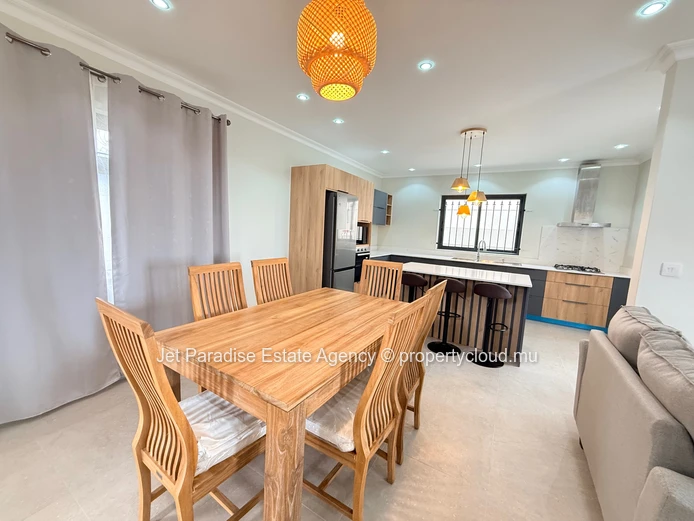 Newly built 4 bedrooms house with private swimming pool and Garden