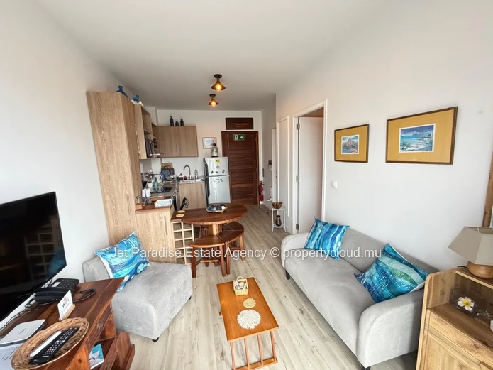 Modern Fully Furnished 1-Bedroom Apartment 