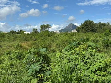 Commercial Land
